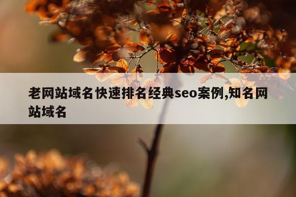 老网站域名快速排名经典seo案例,知名网站域名