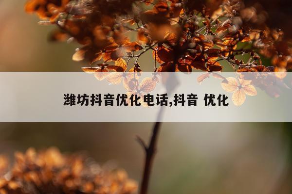 潍坊抖音优化电话,抖音 优化