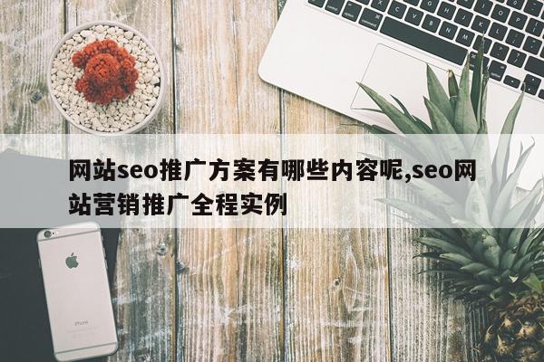 网站seo推广方案有哪些内容呢,seo网站营销推广全程实例