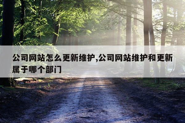 公司网站怎么更新维护,公司网站维护和更新属于哪个部门