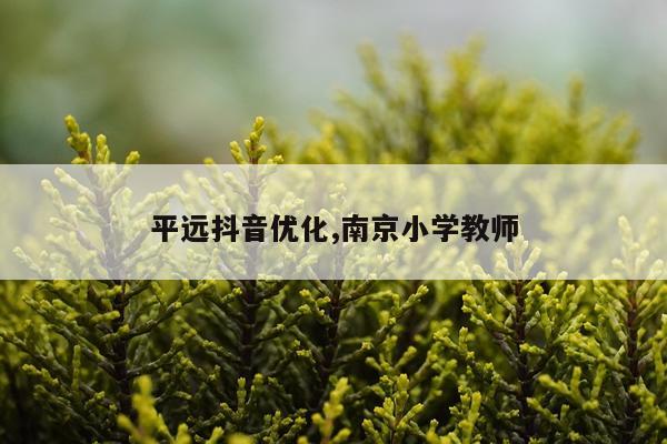 平远抖音优化,南京小学教师