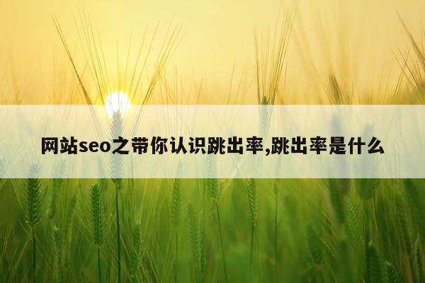 网站seo之带你认识跳出率,跳出率是什么