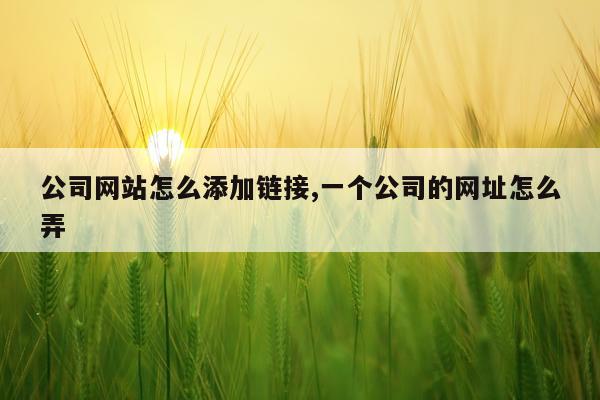 公司网站怎么添加链接,一个公司的网址怎么弄