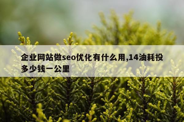 企业网站做seo优化有什么用,14油耗投多少钱一公里