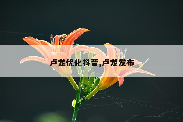卢龙优化抖音,卢龙发布