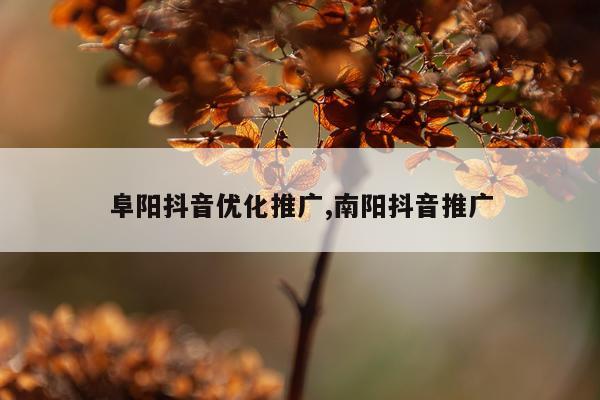 阜阳抖音优化推广,南阳抖音推广