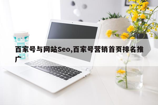 百家号与网站Seo,百家号营销首页排名推广