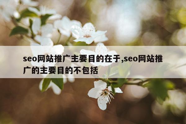 seo网站推广主要目的在于,seo网站推广的主要目的不包括