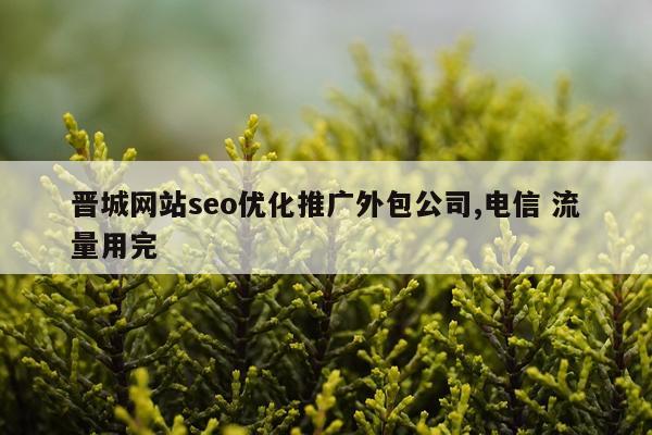 晋城网站seo优化推广外包公司,电信 流量用完