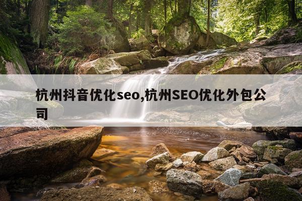 杭州抖音优化seo,杭州SEO优化外包公司