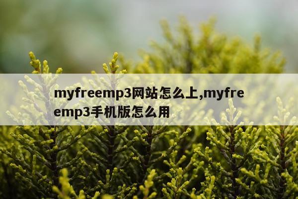 myfreemp3网站怎么上,myfreemp3手机版怎么用