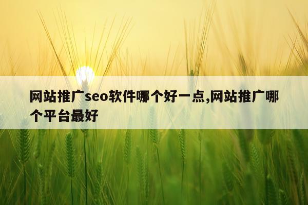 网站推广seo软件哪个好一点,网站推广哪个平台最好