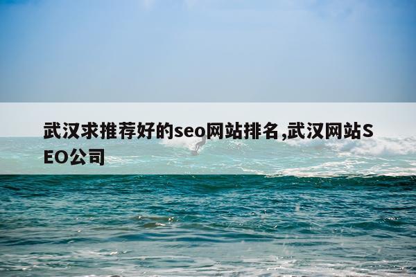武汉求推荐好的seo网站排名,武汉网站SEO公司