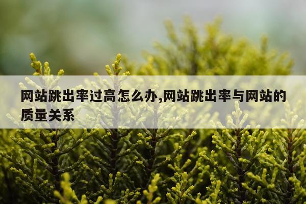网站跳出率过高怎么办,网站跳出率与网站的质量关系
