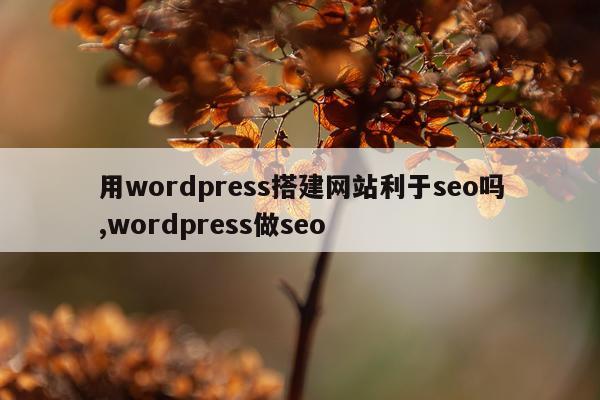 用wordpress搭建网站利于seo吗,wordpress做seo