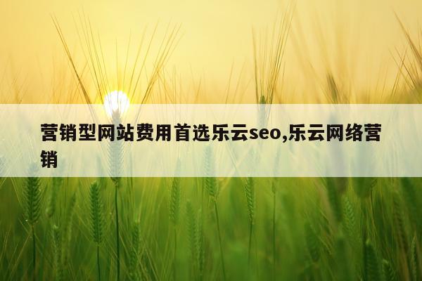 营销型网站费用首选乐云seo,乐云网络营销