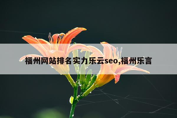 福州网站排名实力乐云seo,福州乐言