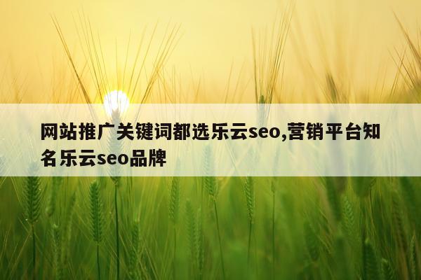 网站推广关键词都选乐云seo,营销平台知名乐云seo品牌