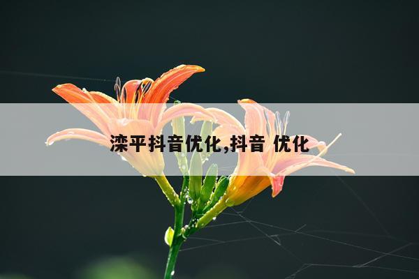 滦平抖音优化,抖音 优化