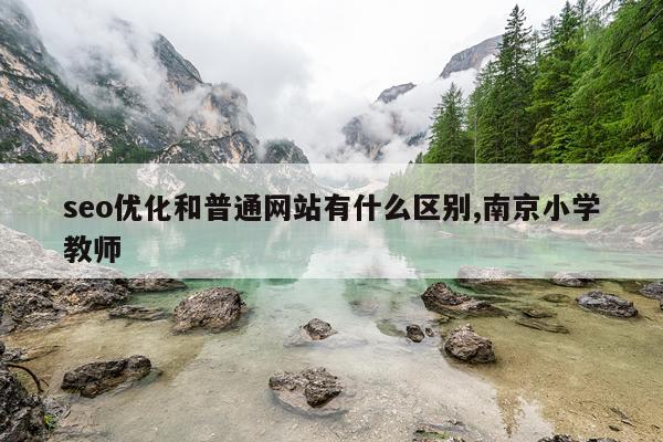 seo优化和普通网站有什么区别,南京小学教师
