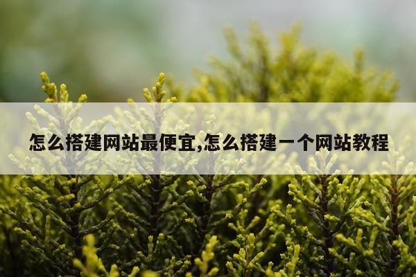 怎么搭建网站最便宜,怎么搭建一个网站教程