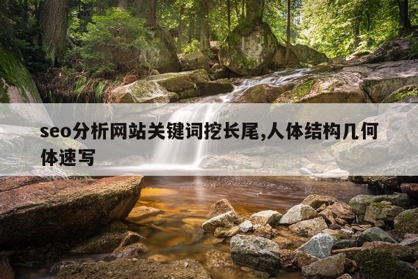 seo分析网站关键词挖长尾,人体结构几何体速写