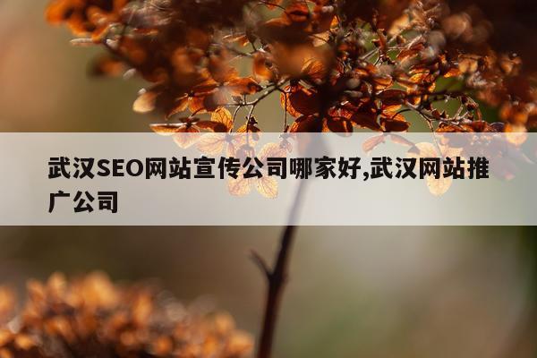 武汉SEO网站宣传公司哪家好,武汉网站推广公司
