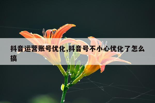 抖音运营账号优化,抖音号不小心优化了怎么搞