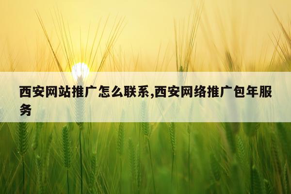 西安网站推广怎么联系,西安网络推广包年服务