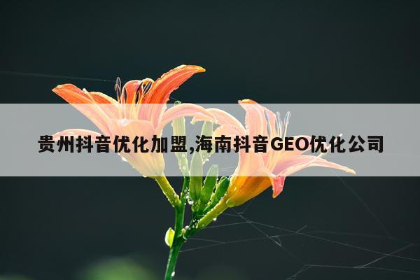 贵州抖音优化加盟,海南抖音GEO优化公司