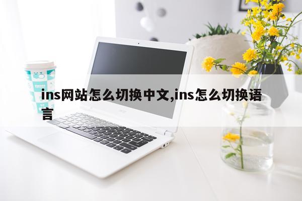 ins网站怎么切换中文,ins怎么切换语言