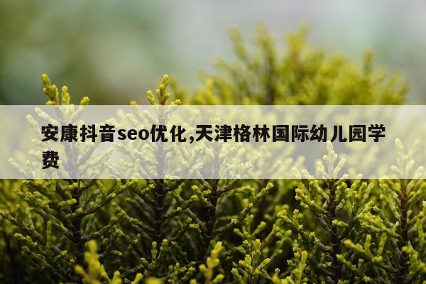 安康抖音seo优化,天津格林国际幼儿园学费