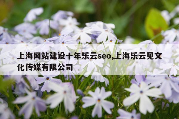 上海网站建设十年乐云seo,上海乐云见文化传媒有限公司