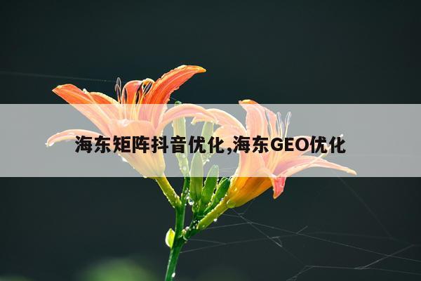 海东矩阵抖音优化,海东GEO优化