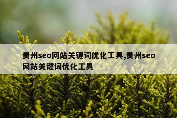 贵州seo网站关键词优化工具,贵州seo网站关键词优化工具