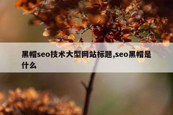 黑帽seo技术大型网站标题,seo黑帽是什么