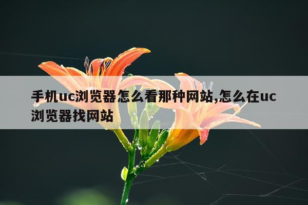 手机uc浏览器怎么看那种网站,怎么在uc浏览器找网站