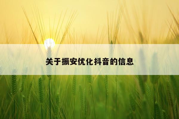 关于振安优化抖音的信息
