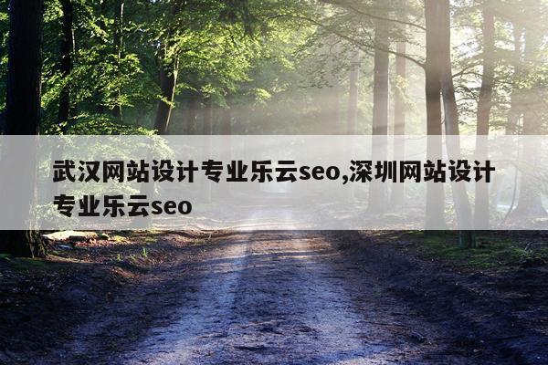 武汉网站设计专业乐云seo,深圳网站设计专业乐云seo