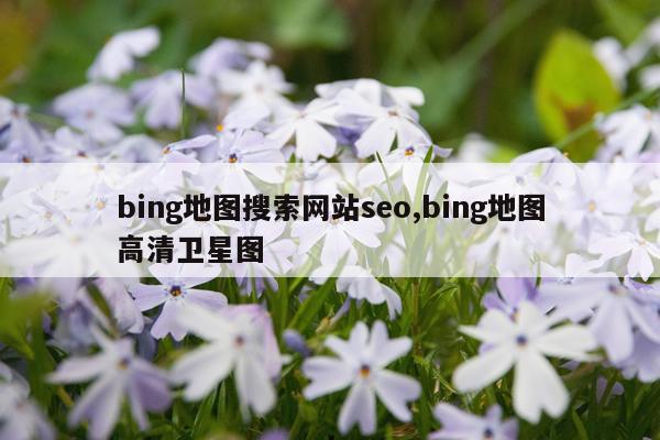 bing地图搜索网站seo,bing地图高清卫星图