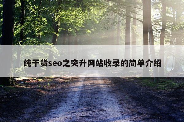 纯干货seo之突升网站收录的简单介绍