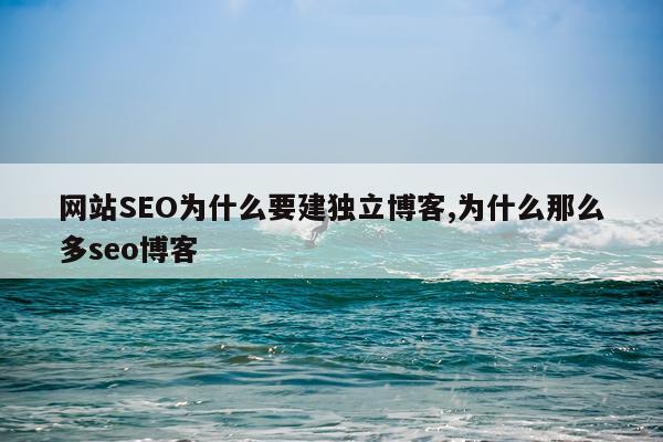 网站SEO为什么要建独立博客,为什么那么多seo博客