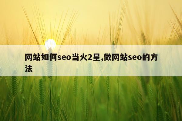 网站如何seo当火2星,做网站seo的方法