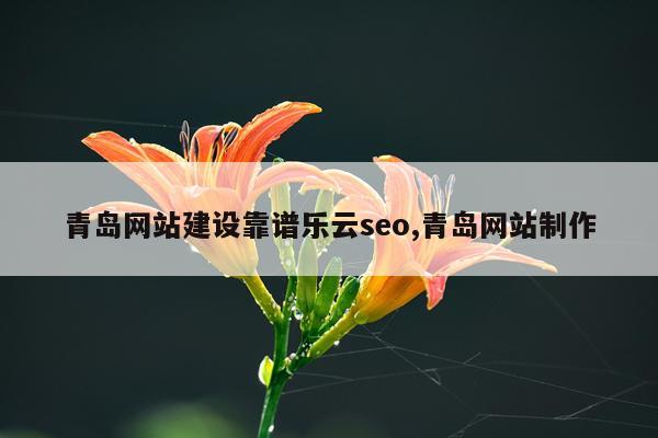 青岛网站建设靠谱乐云seo,青岛网站制作