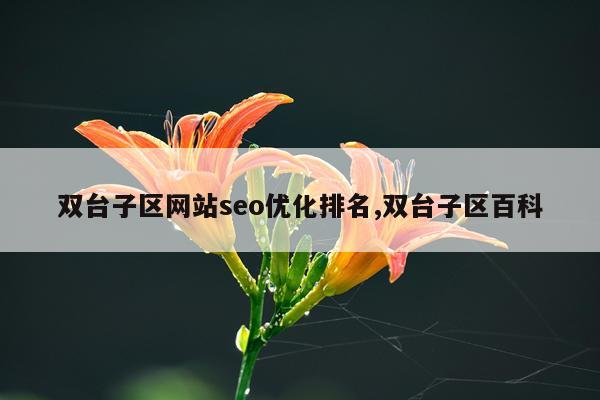 双台子区网站seo优化排名,双台子区百科