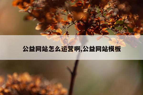 公益网站怎么运营啊,公益网站模板