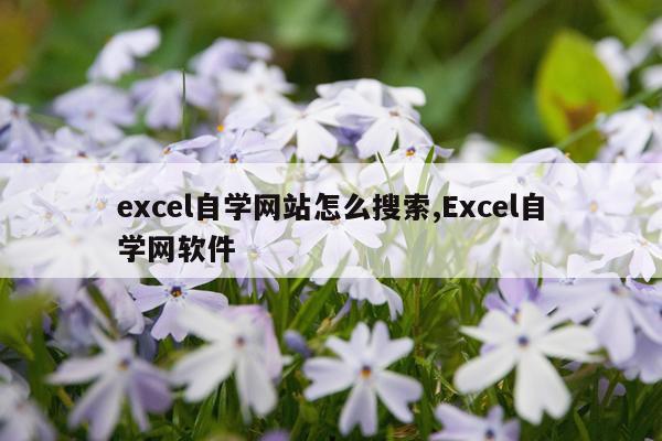 excel自学网站怎么搜索,Excel自学网软件