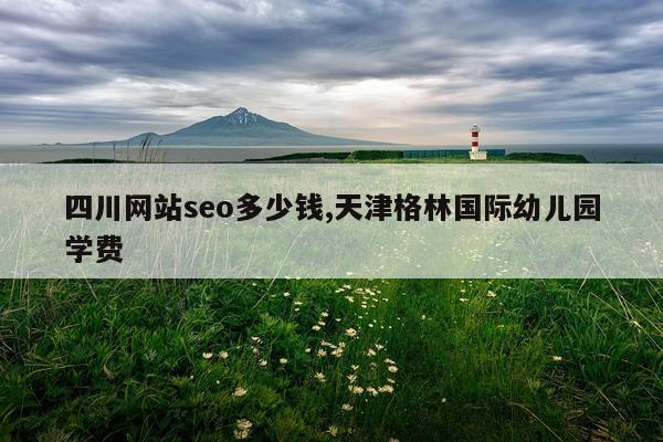 四川网站seo多少钱,天津格林国际幼儿园学费