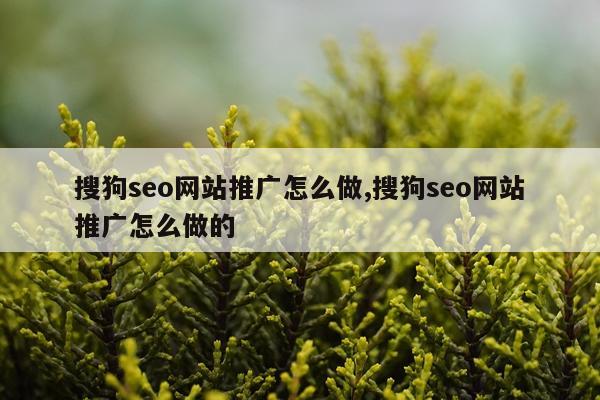 搜狗seo网站推广怎么做,搜狗seo网站推广怎么做的