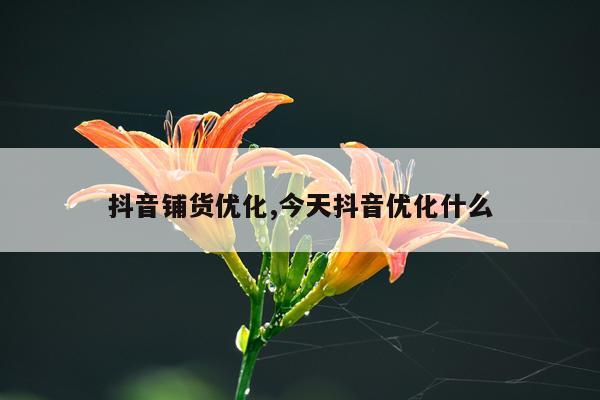 抖音铺货优化,今天抖音优化什么